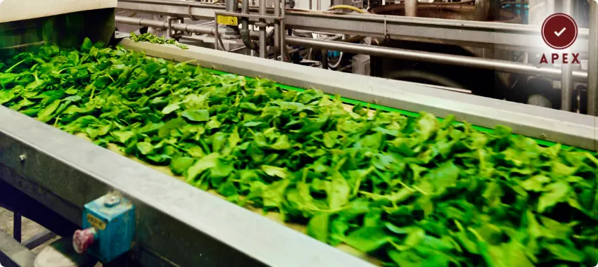 ISO 22000 Certification in Fujairah